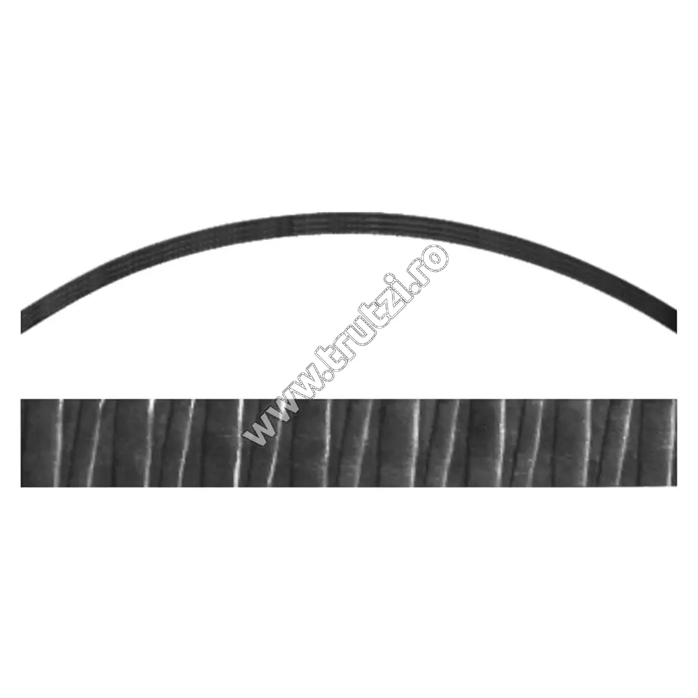 Imagine arcada "semicerc" plasa gard sect. 40x5mm amprentat transversal, h 230, l 2000