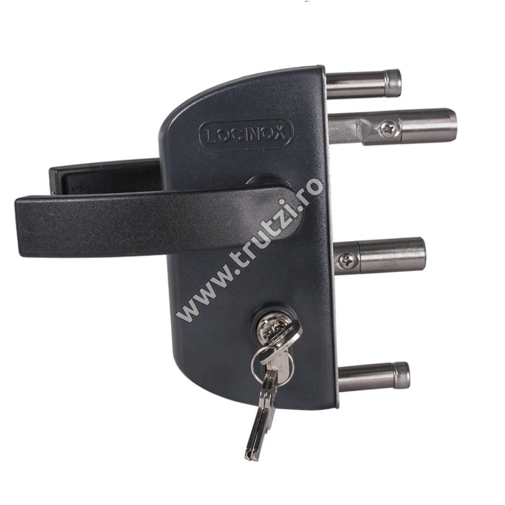 Imagine broasca poarta metalica locinox