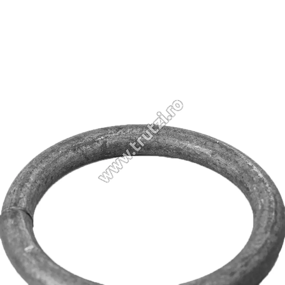 Cerc sect. fi 12mm, diametru fi 120mm