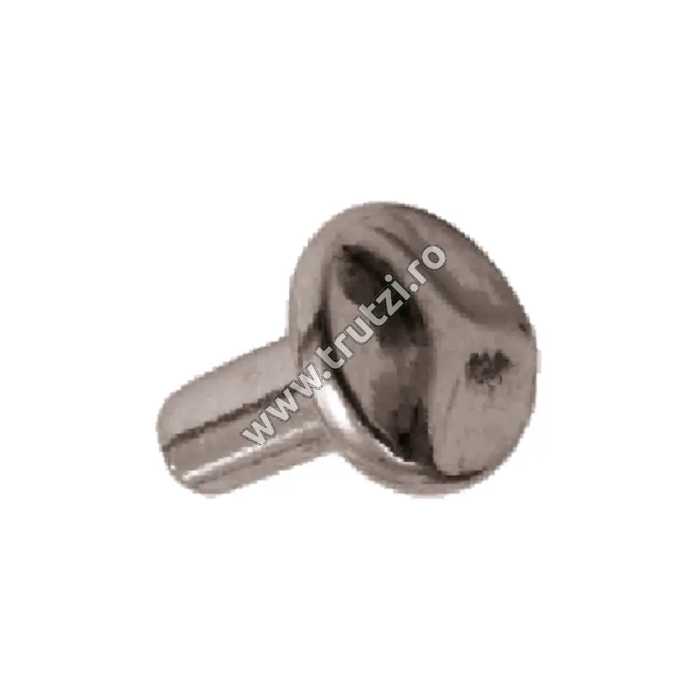 Imagine nit sect. fi 10mm, cap fi 22mm, l 31mm