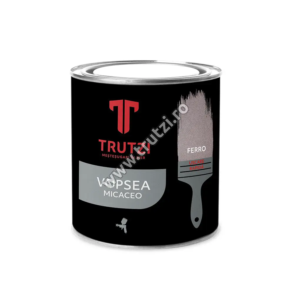 Imagine vopsea ferro ch 2.5 l